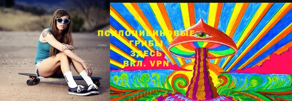 гидропоника Дмитриев
