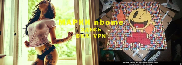 гидропоника Дмитриев
