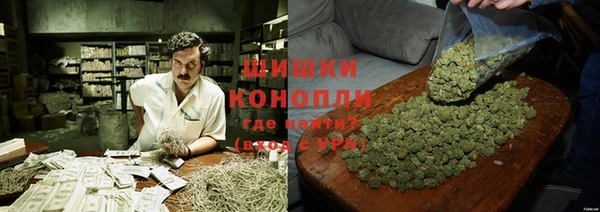 гидропоника Дмитриев