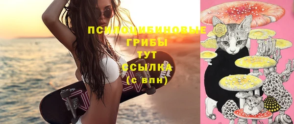 мдпв Дмитров