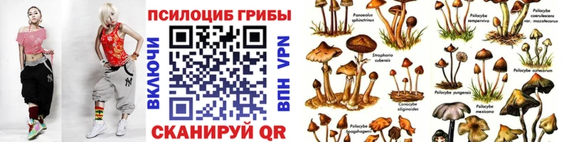 Псилоцибиновые грибы Psilocybine cubensis  Купить  Кирово-Чепецк 